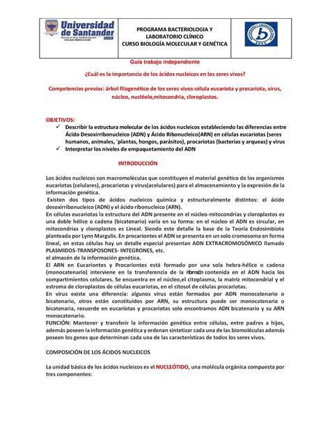 Cuál es la Importancia de los ácidos Nucleicos en los Seres Vivos