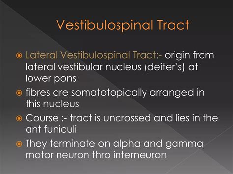 Pyramidal Tract And Extra Pyramidal Tracts Pptx
