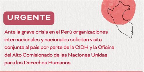 Ante la grave crisis en el Perú organizaciones internacionales y