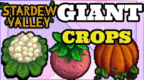 How To Get Giant Crops In Stardew Valley Youtube