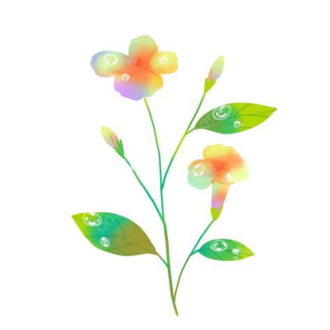 Beautiful Dream Flowers, Beautiful, Color, Dream PNG Transparent ...