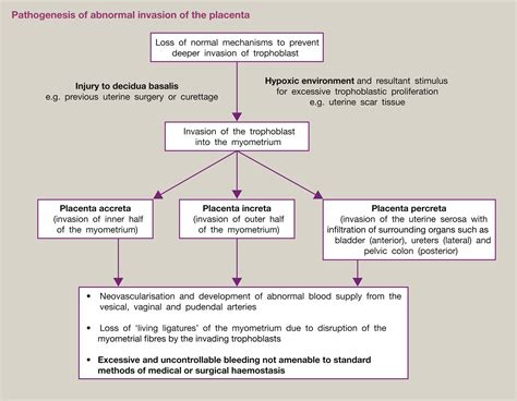 Management Of Morbidly Adherent Placenta Obstetrics Gynaecology And