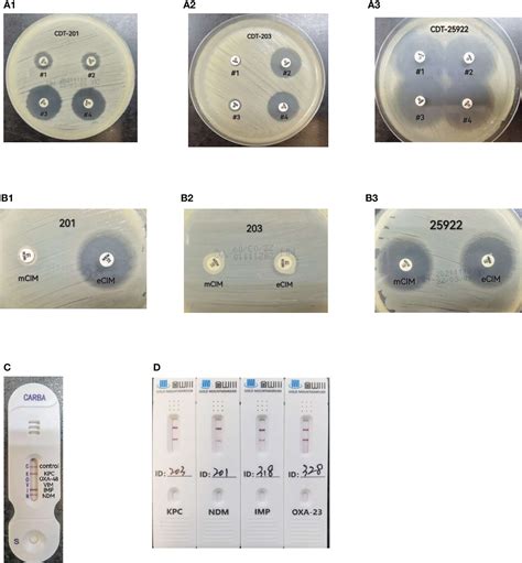 Frontiers Comparison Of The Performance Of Phenotypic Methods For The