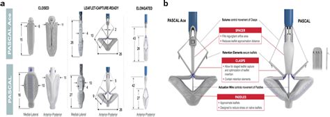 Mitral Transcatheter Edge To Edge Repair With The Pascal Precision