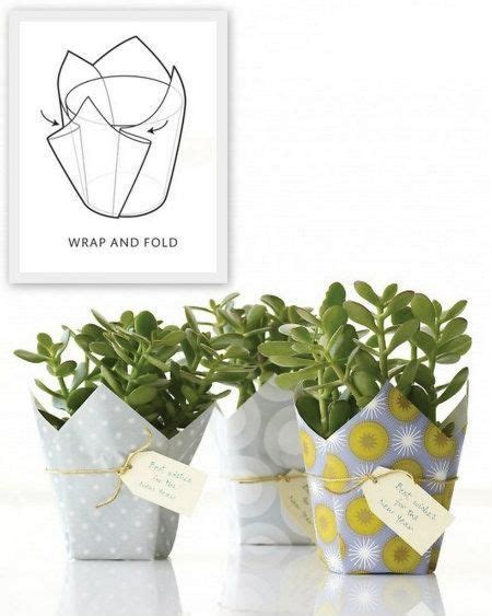 Resultado De Imagen Para Como Envolver Plantas Easy Gifts Creative