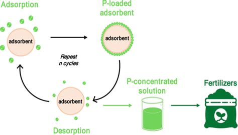 Phosphate Recovery From Urine Equivalent Solutions For Fertilizer