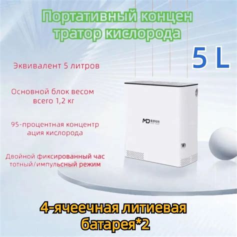 Портативный кислородный концентратор для небольшого домашнего ...