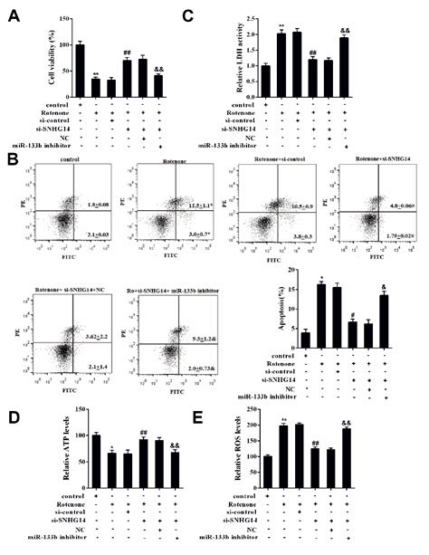 Figure From Dopaminergic Neuron Injury In Parkinsons Disease Is