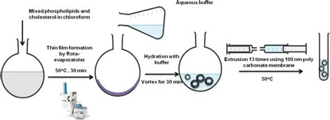 Liposome Definition Structure Composition Applications Biology