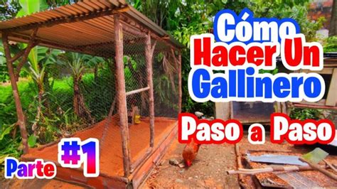 Construye tu propio gallinero Guía de construcción paso a paso