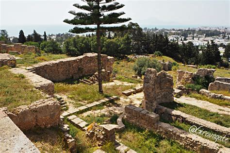 Cartagine Sito Archeologico Patrimonio Unesco Da Vedere Vicino A