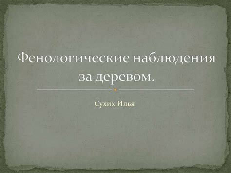 Фенологические наблюдения за деревом - презентация онлайн