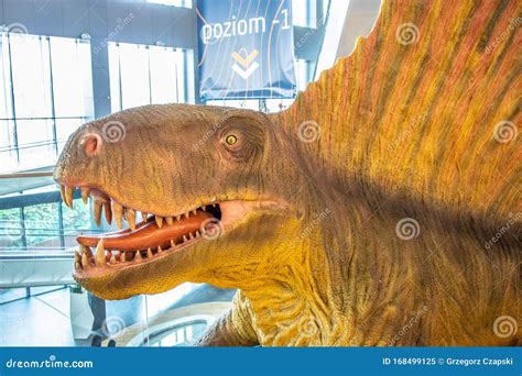 Dimetrodon Dino Shopping Entertainment Center Mall Sukcesja Extinct