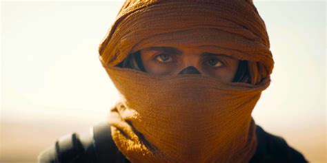 Dune 2 Box Office Crosses Two Major Milestones Before Its 2nd Weekend