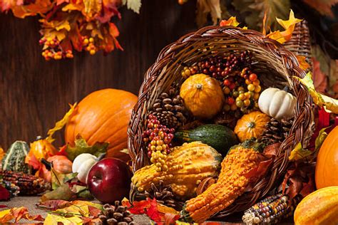 Cornucopia Stock Photos Pictures And Royalty Free Images Istock