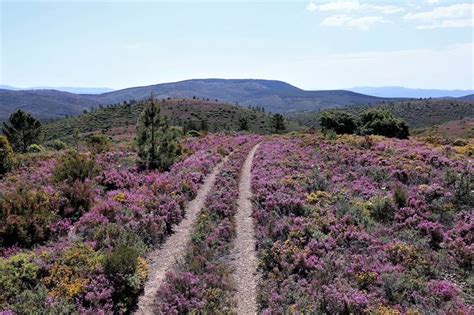 Reserva Natural Da Serra Da Malcata