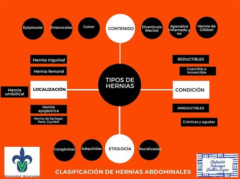 Resúmenes de Hernias reductibles Descarga apuntes de Hernias reductibles