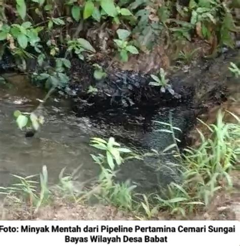 Limbah Minyak Pertamina Berceceran Cemari Sungai Bayas Wilayah Desa