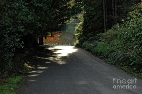 The Road Curves Photograph By Michael Ziegler Pixels