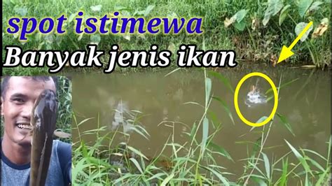 Siapapun Yang Mancing Di Sini Pasti Betah Spot Mancing Anti Boncos 14