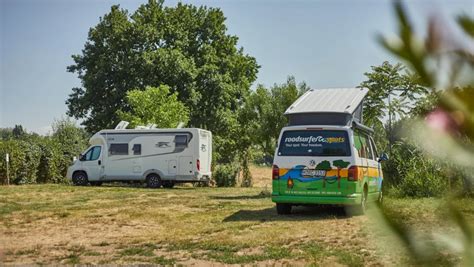 Wohnmobilstellplätze auf Weingütern in der Pfalz roadsurfer