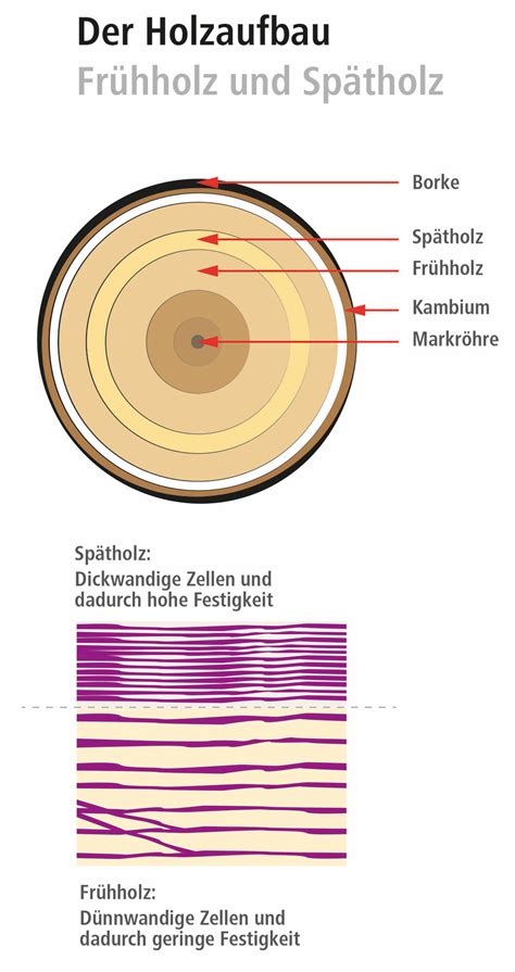 Holz B Rsten So Gestalten Sie Holz Durch B Rsten