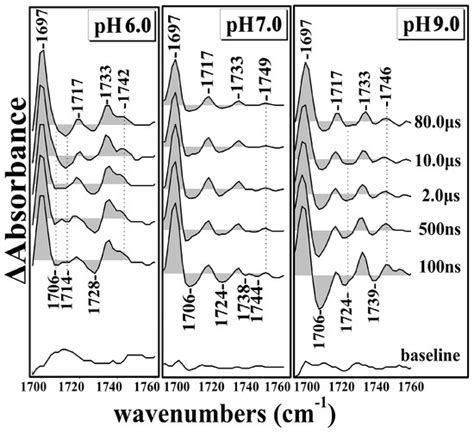 IJMS Free Full Text ns μs Time Resolved Step Scan FTIR of ba3