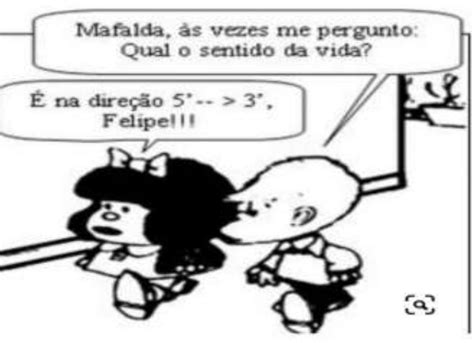 Por Que Mafalda Afirma Que O Sentido Da Vida Explique