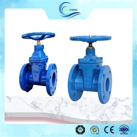 Bs5163 10 Inch Pn16 Resilient Seated Cast Iron Rising Stem Gate Valve For Sluice Water Gate