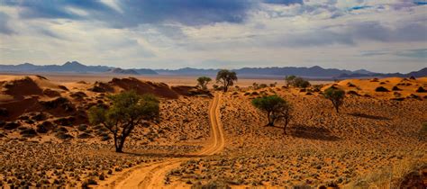 Namibia Honeymoon Safaris African Safari Tours