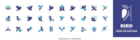 Bird Icon Collection Duotone Color Vector Stock Vector Royalty Free