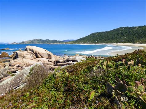 A View Of Beautiful Praia Da Galheta Galheta Beach In Florianopolis