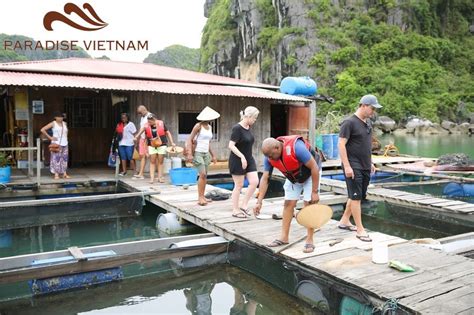 A detailed guide for Pearl Farm Village in Halong Bay