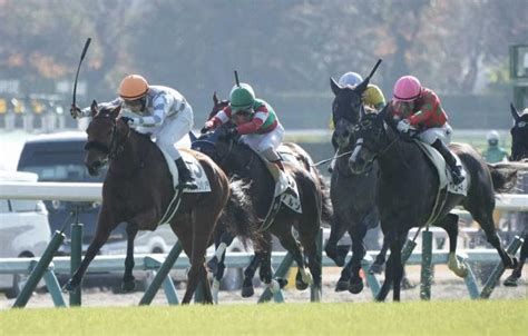 【中山5r新馬】グランカンタンテ押し切りv 藤岡佑「能力ある」 競馬ニュース Netkeiba