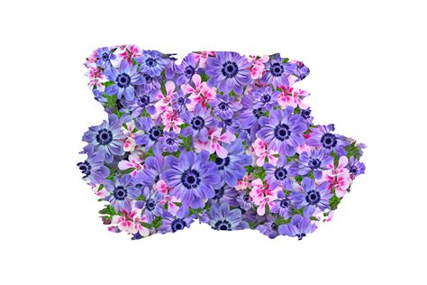 Flower Sublimation Clipart Png 21444359 Png