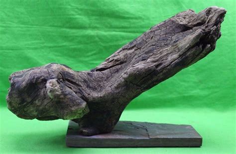 Driftwood Aquarium Reptile Decoration Slate Basking Log Branch Natural