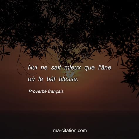 Nul Ne Sait Mieux Que Lâne Où Le Bât Blesse Proverbe Français Ma