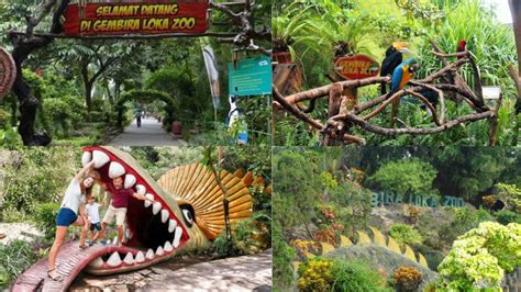 Gembira Loka Zoo Jogja Lokasi Harga Tiket Masuk