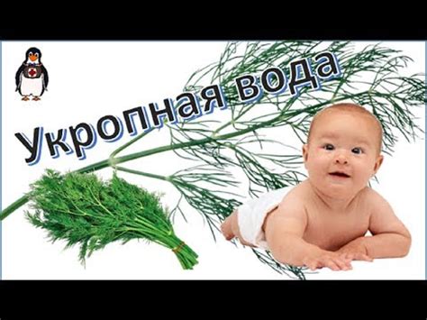 Укропная вода для новорожденных и для взрослых - YouTube