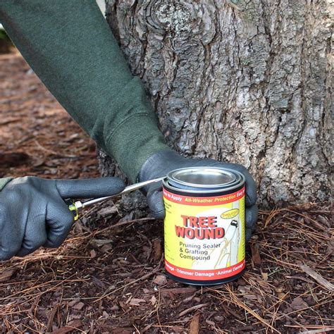 Tanglefoot Tree Wound Pruning Sealer Grafting Compound