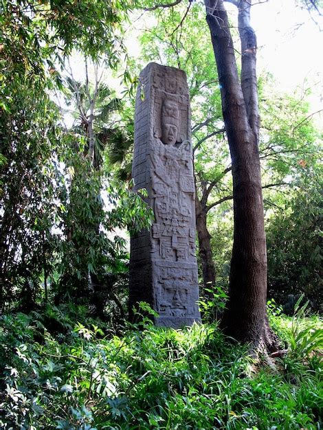 Museu nacional de antropologia cidade do méxico méxico Foto Premium