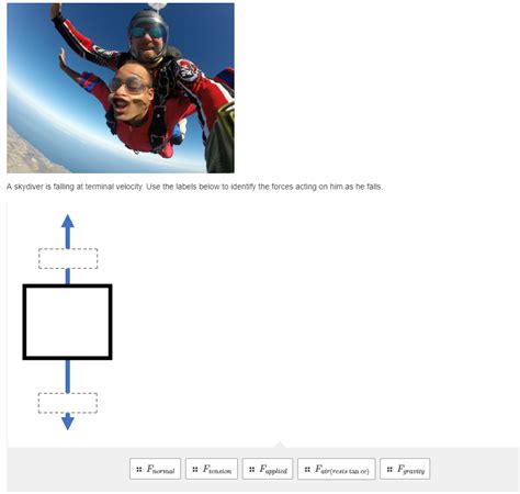 Answered A Skydiver Is Falling At Terminal Bartleby