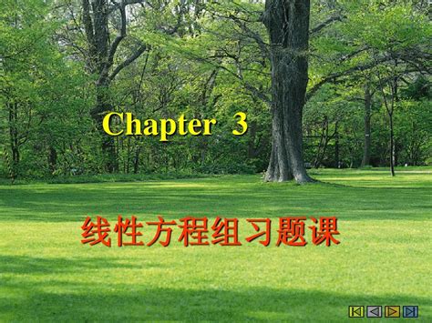 2chapter33线性方程组习题课word文档在线阅读与下载无忧文档