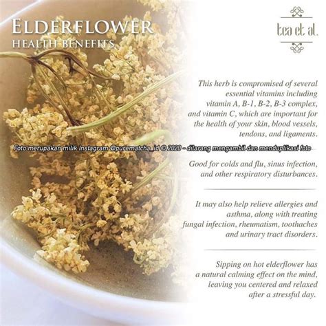 Jual Teh Daun Tea Et Al Charis Tb Elderflower Black Tea Premium