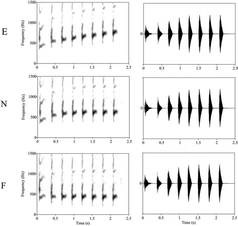 Spectrograms And Amplitude Modulated Waveforms Of The Stimuli E N Download Scientific