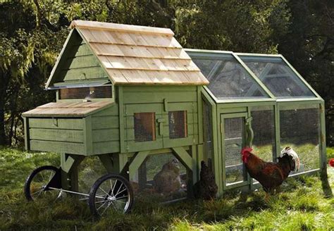 Chicken Roosting Ideas And How To Install Your Chicken Coop