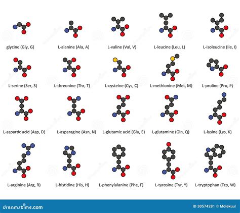 Aminozuren 2D Chemische Structuren Van Comm 20 Vector Illustratie