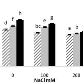 Effect Of Salicylic Acid On Mean Germination Time MGT Of Ocimum