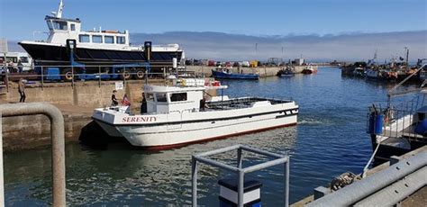 Serenity Farne Island Boat Tours (Seahouses) - 2020 All You Need to ...