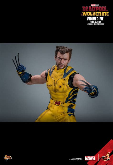 Wolverine Aus Aus Dem Film Deadpool Wolverine Von Hot Toys Mms